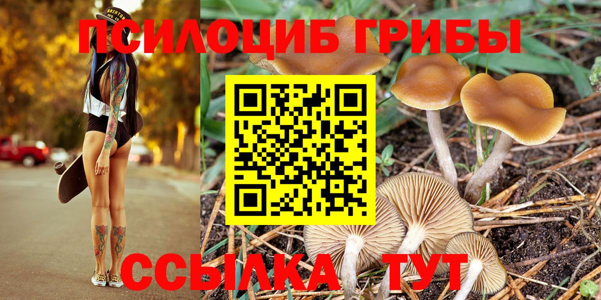 Псилоцибиновые грибы Magic Shrooms  Галлюциногенные грибы мухоморы  Вход с VPN  Армавир 